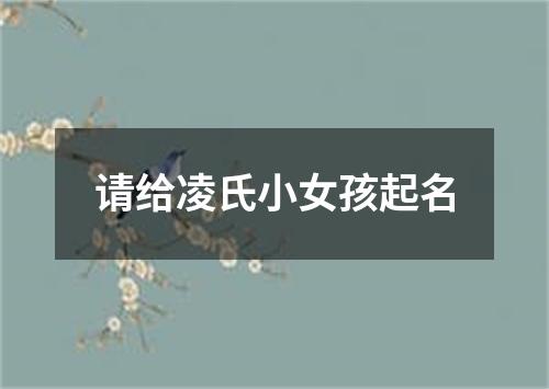 请给凌氏小女孩起名