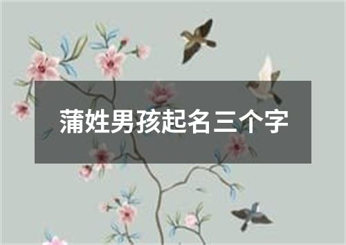 蒲姓男孩起名三个字