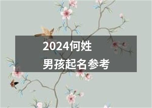 2024何姓男孩起名参考