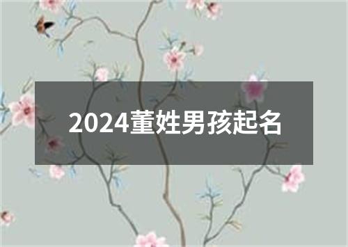 2024董姓男孩起名