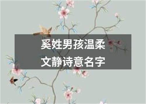 奚姓男孩温柔文静诗意名字