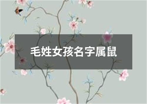 毛姓女孩名字属鼠