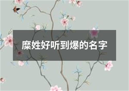 糜姓好听到爆的名字