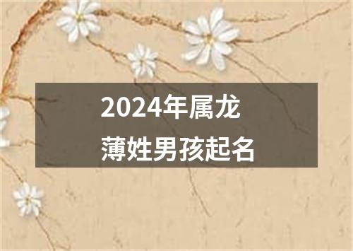 2024年属龙薄姓男孩起名