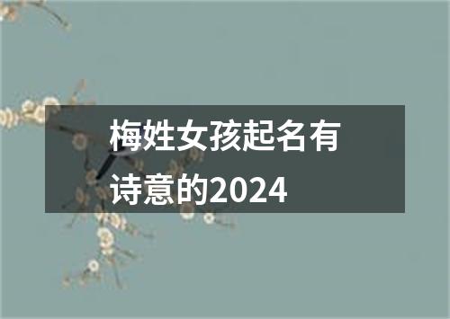 梅姓女孩起名有诗意的2024