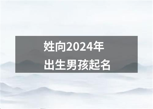 姓向2024年出生男孩起名