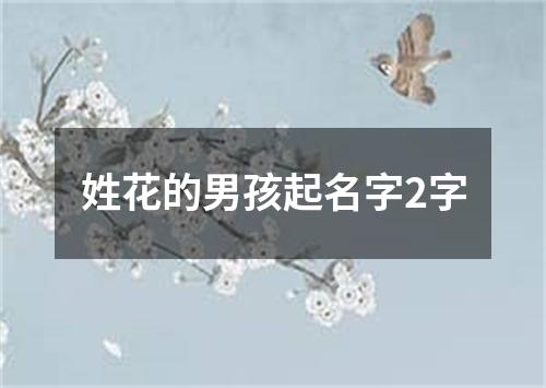 姓花的男孩起名字2字