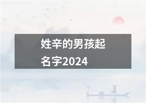 姓辛的男孩起名字2024