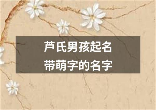 芦氏男孩起名带萌字的名字