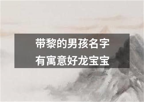 带黎的男孩名字有寓意好龙宝宝