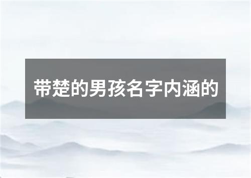 带楚的男孩名字内涵的