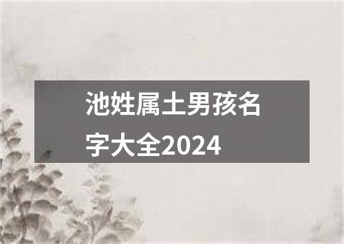 池姓属土男孩名字大全2024