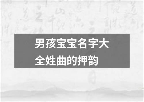 男孩宝宝名字大全姓曲的押韵