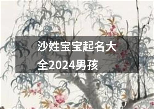 沙姓宝宝起名大全2024男孩