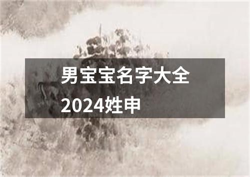 男宝宝名字大全2024姓申