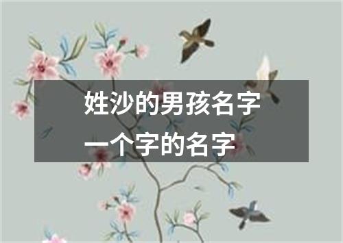 姓沙的男孩名字一个字的名字