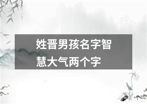 姓晋男孩名字智慧大气两个字