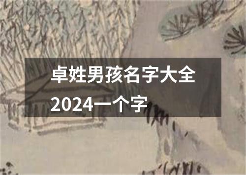 卓姓男孩名字大全2024一个字