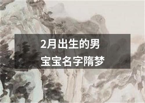 2月出生的男宝宝名字隋梦