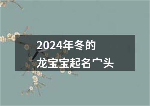 2024年冬的龙宝宝起名宀头