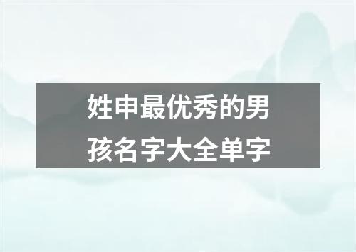 姓申最优秀的男孩名字大全单字