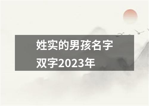 姓实的男孩名字双字2023年