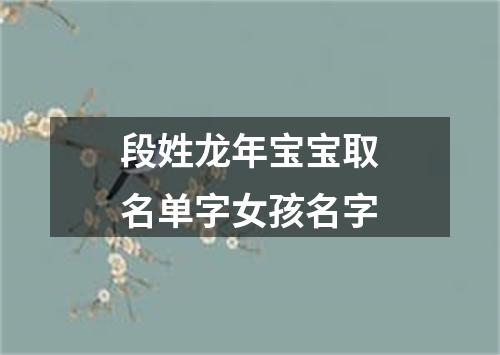 段姓龙年宝宝取名单字女孩名字