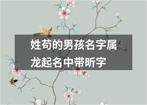 姓苟的男孩名字属龙起名中带昕字