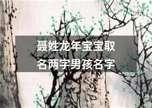 聂姓龙年宝宝取名两字男孩名字