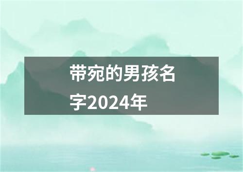 带宛的男孩名字2024年