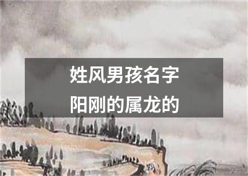 姓风男孩名字阳刚的属龙的