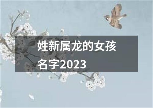 姓新属龙的女孩名字2023