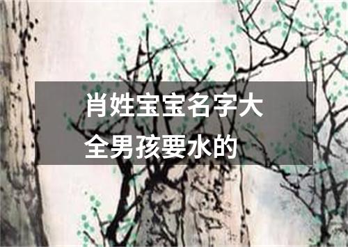 肖姓宝宝名字大全男孩要水的