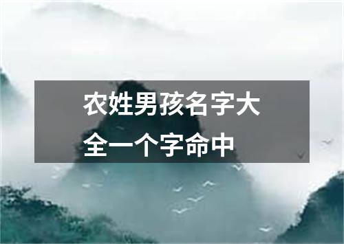 农姓男孩名字大全一个字命中