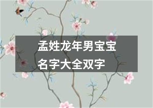 孟姓龙年男宝宝名字大全双字