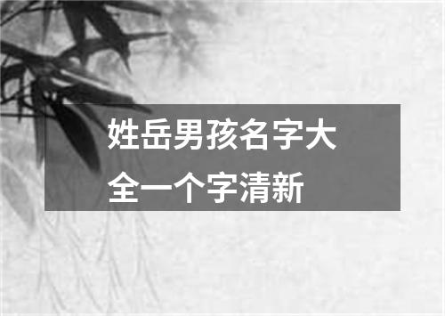 姓岳男孩名字大全一个字清新