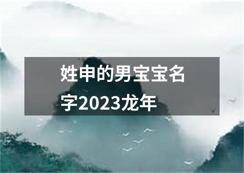 姓申的男宝宝名字2023龙年