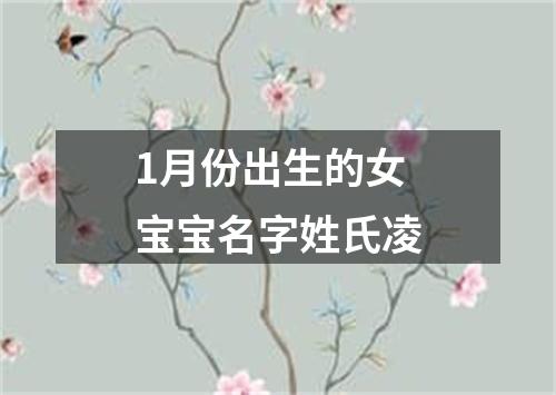 1月份出生的女宝宝名字姓氏凌