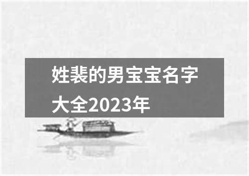 姓裴的男宝宝名字大全2023年