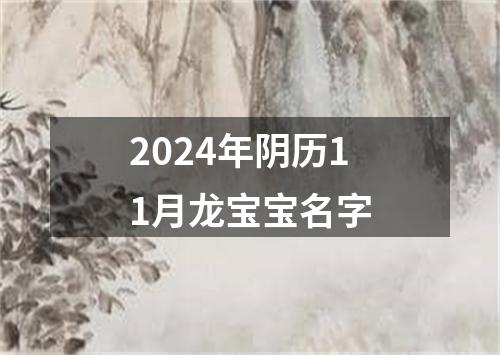 2024年阴历11月龙宝宝名字