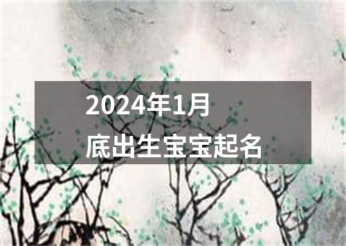 2024年1月底出生宝宝起名