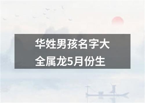 华姓男孩名字大全属龙5月份生