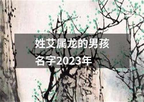 姓艾属龙的男孩名字2023年