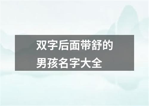 双字后面带舒的男孩名字大全