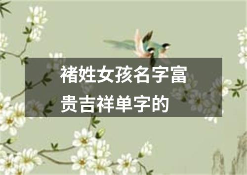 褚姓女孩名字富贵吉祥单字的