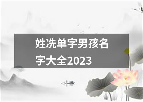 姓冼单字男孩名字大全2023