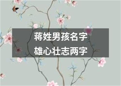 蒋姓男孩名字雄心壮志两字