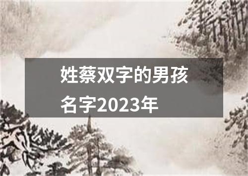 姓蔡双字的男孩名字2023年