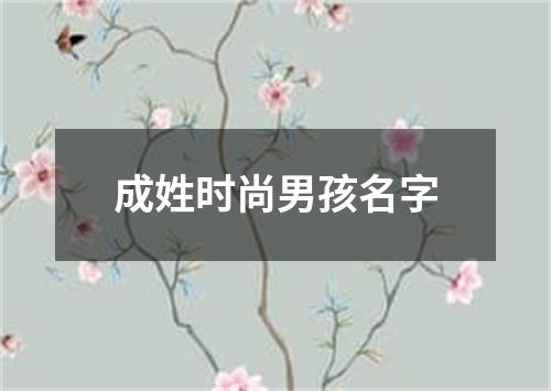 成姓时尚男孩名字