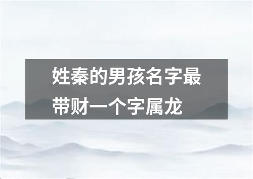 姓秦的男孩名字最带财一个字属龙